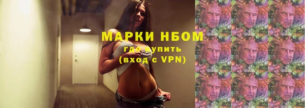 сатива Сосновый Бор