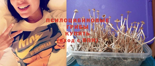 PSILOCYBIN Лиски
