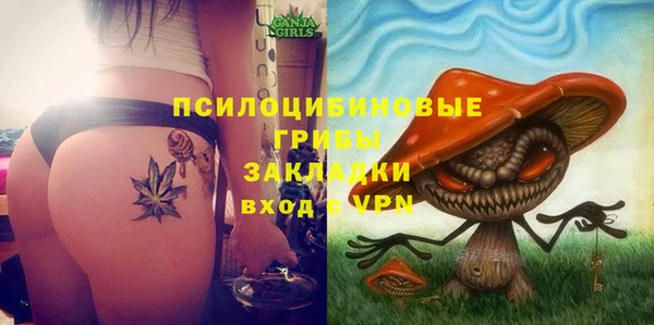 прущие грибы Балабаново