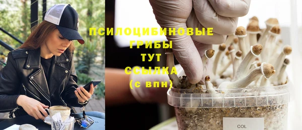 скорость mdpv Ладушкин
