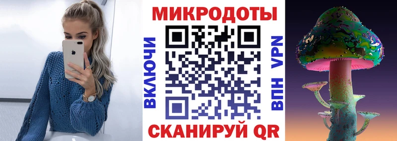 что такое наркотик Уссурийск кракен зеркало Псилоцибиновые грибы Psilocybe
